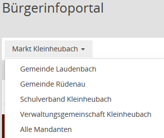 Bürgerinfoportal - Auswahlfenster